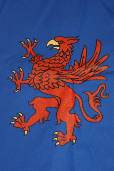 Strój rycerz tunika herbu gryf duża wiek 9+ EAN (GTIN) 5901531703451