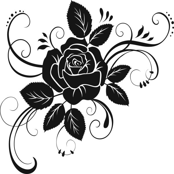 

Naklejka na ścianę ścienna Kwiaty Róża 100 cm