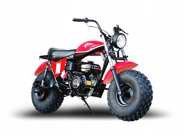 coleman trail 200cc mini bike