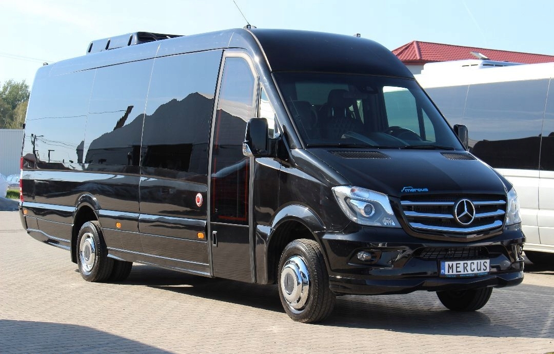 Mercedes Sprinter Грузопассажирский