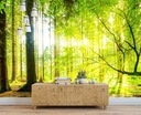 фото mini №3, Photo wallpaper 3-door las trees 312x219 f00678