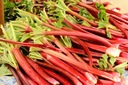 фото mini №2, Rhubarb victoria perennial seed rabarbaru toraf