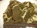 фото mini №1, Scale osadowa - martwica wapienna