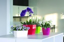 фото mini №3, Flowerpot з stand round plastic 13, 5x12, 4
