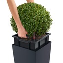 фото mini №5, Flowerpot lechuza cubico color 22 muszkat