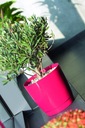 фото mini №3, Flowerpot prosperplast 28 centimeters x 28 x 26, 2 centimeters diameter 28 centimeters plastic white