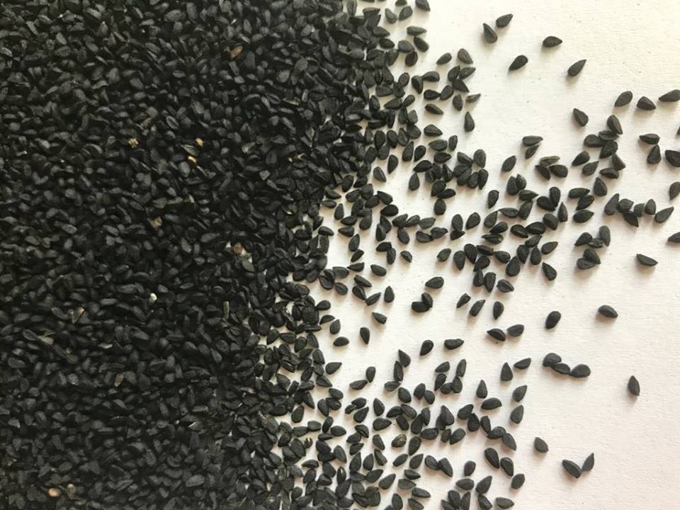 Черные семена похожие. Семена черные мелкие. Маленькие черные семена. Черные маленькие семечки. Специи черные мелкие семена.