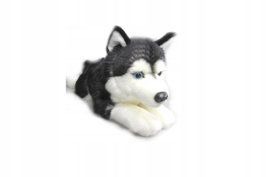 MASKOTKA PIES HUSKY PLUSZOWY LEŻĄCY 36 CM ROXI