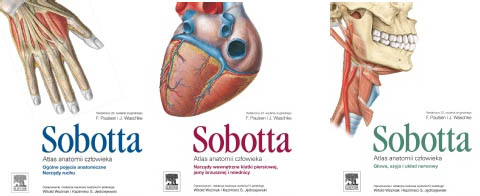 Atlas anatomii człowieka Sobotta Tom 1 2 3 sobotty