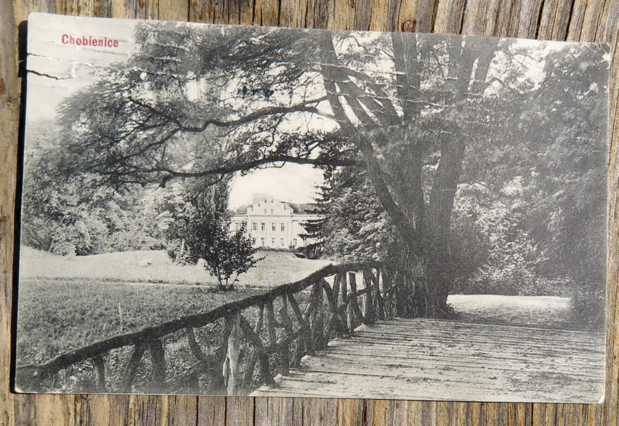 Chobienice - widok na pałac od strony parku