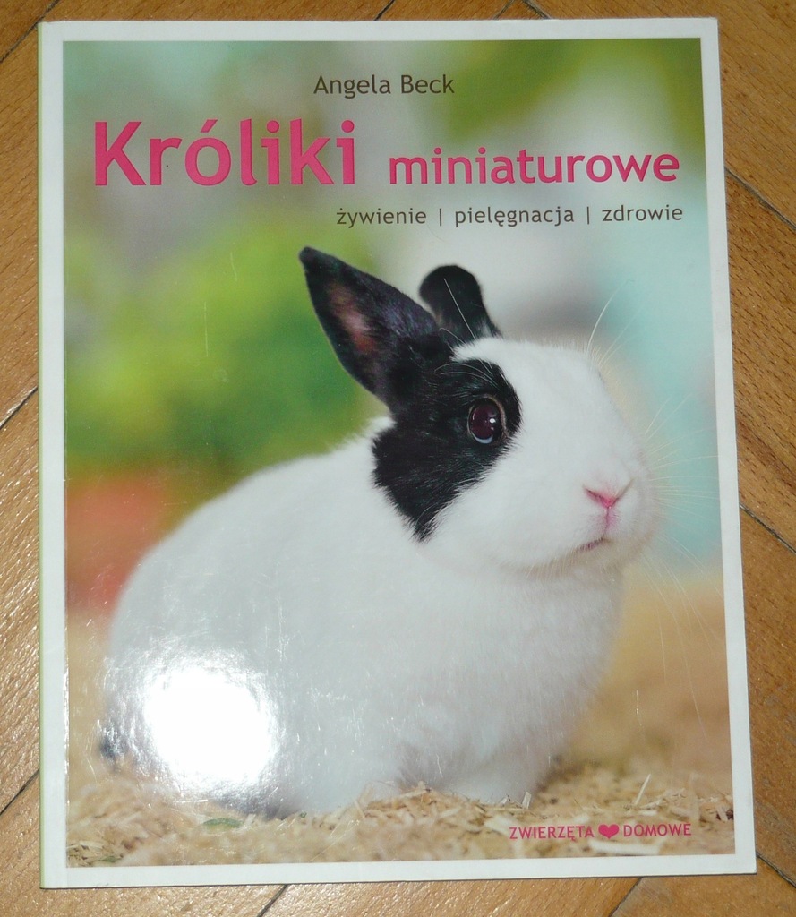 KRÓLIKI MINIATUROWE ANGELA BECK ZWIERZĘTA DOMOWE