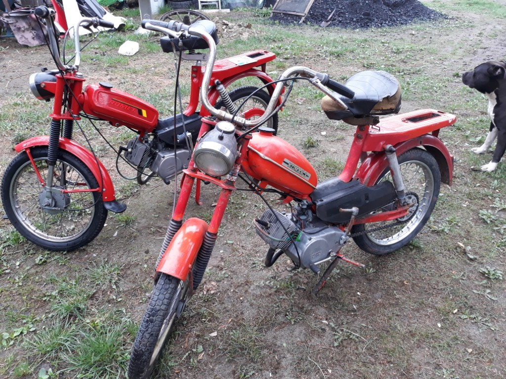 komarek