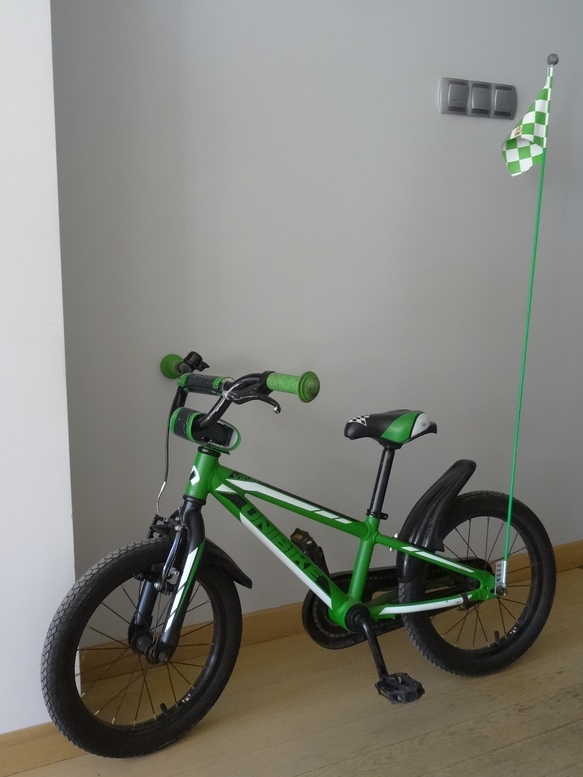 Rowerek dziecięcy Unibike Viking 2014 zielony