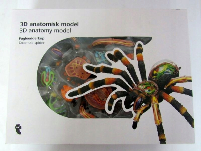 MODEL ANATOMICZNY 3D PAJĄK TARANTULA