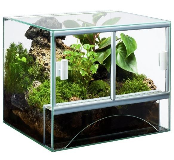 DIVERSA TERRARIUM 30X25X25 DLA PAJĄKA MODLISZKI