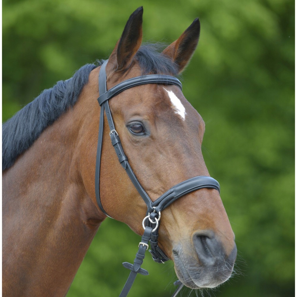 OGŁOWIE BEZWĘDZIDŁOWE "BITLESS"STAR Pony