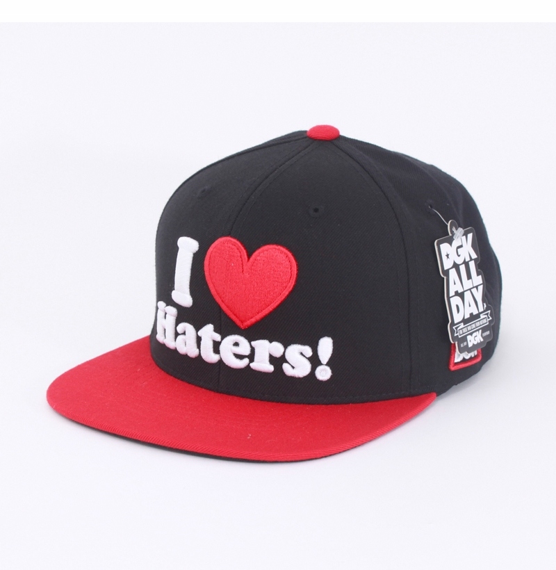 dgk i love haters