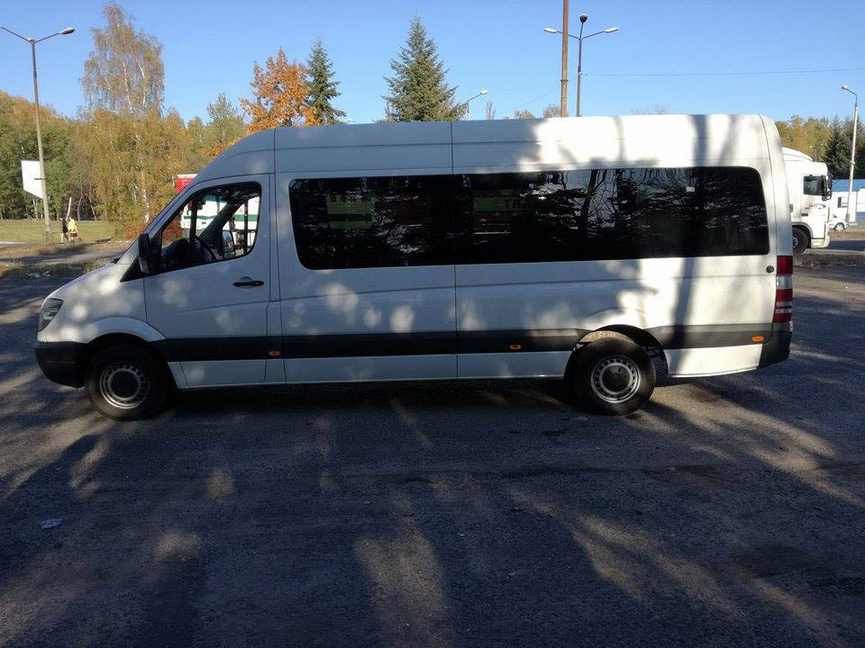 Mercedes Sprinter 313