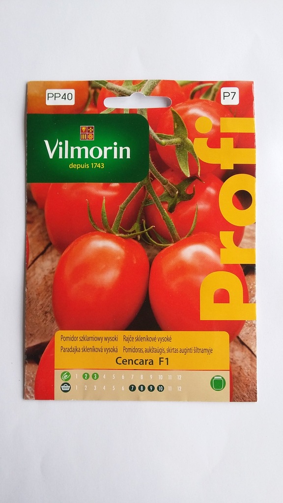 POMIDOR SZKLARNIOWY WYSOKI CANCARA VILMORIN