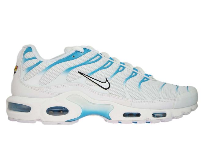 wawa nikes