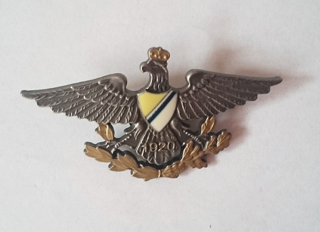 Odznaka 27. Pułku Ułanów