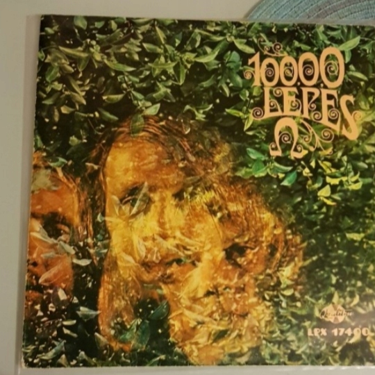 Omega 1000 lepes winyl