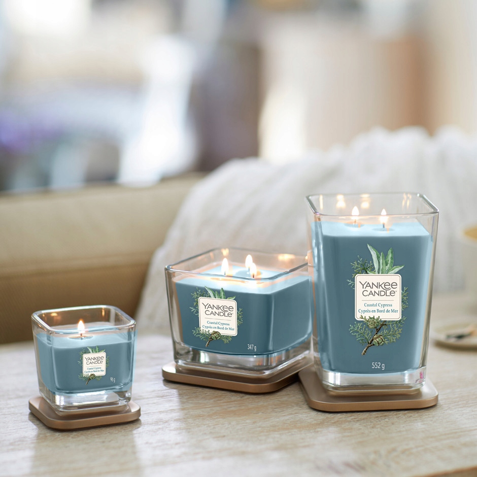 Świeca Yankee Candle 96g COASTAL CYPRESS