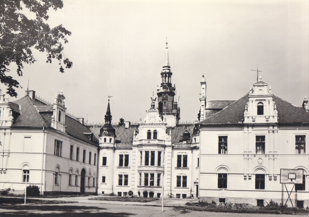 Tułowice. Pałac.