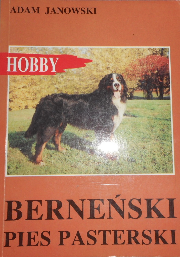 Adam Janowski Hobby Berneński pies pasterski
