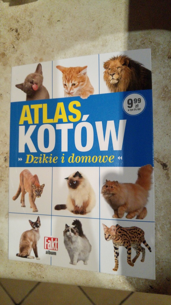 Atlas Kotów Dzikie i Domowe Fakt Prezes Kaczyński