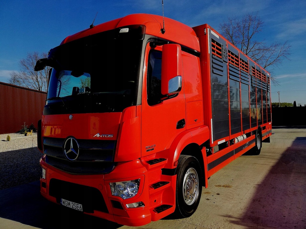 MERCEDES DO ŻYWCA BYDŁA ZWIERZĄT PLAVAC
