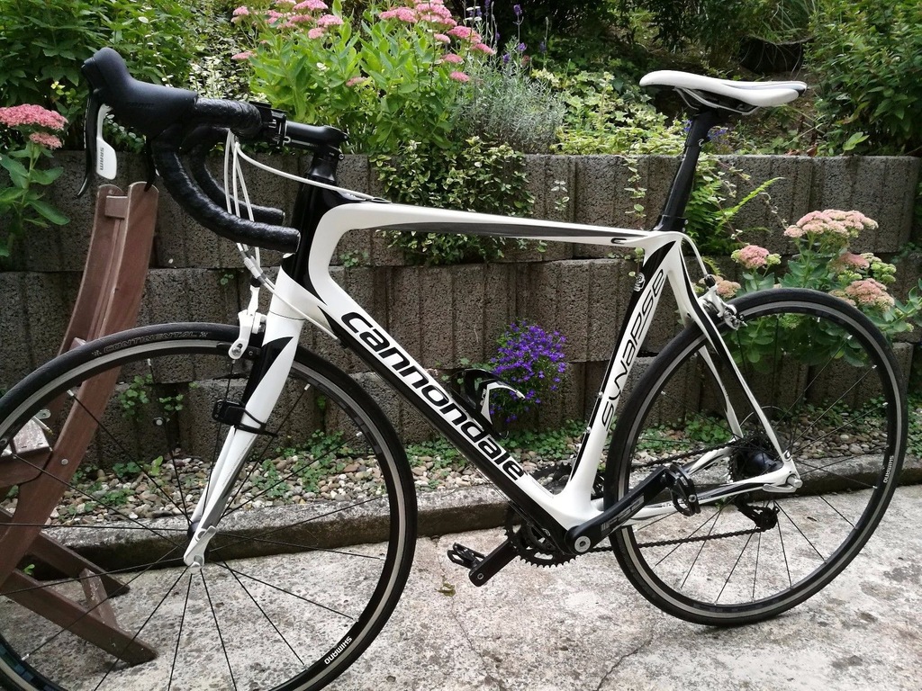 cannondale synapse cena