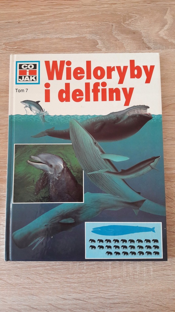 Wieloryby i delfiny album
