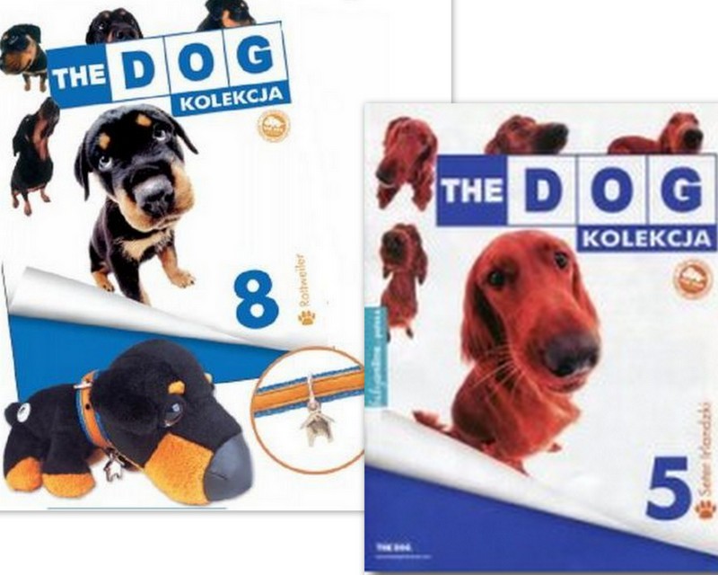 THE DOG Kolekcja Seter Irlandzki Rottweiler PIESKI