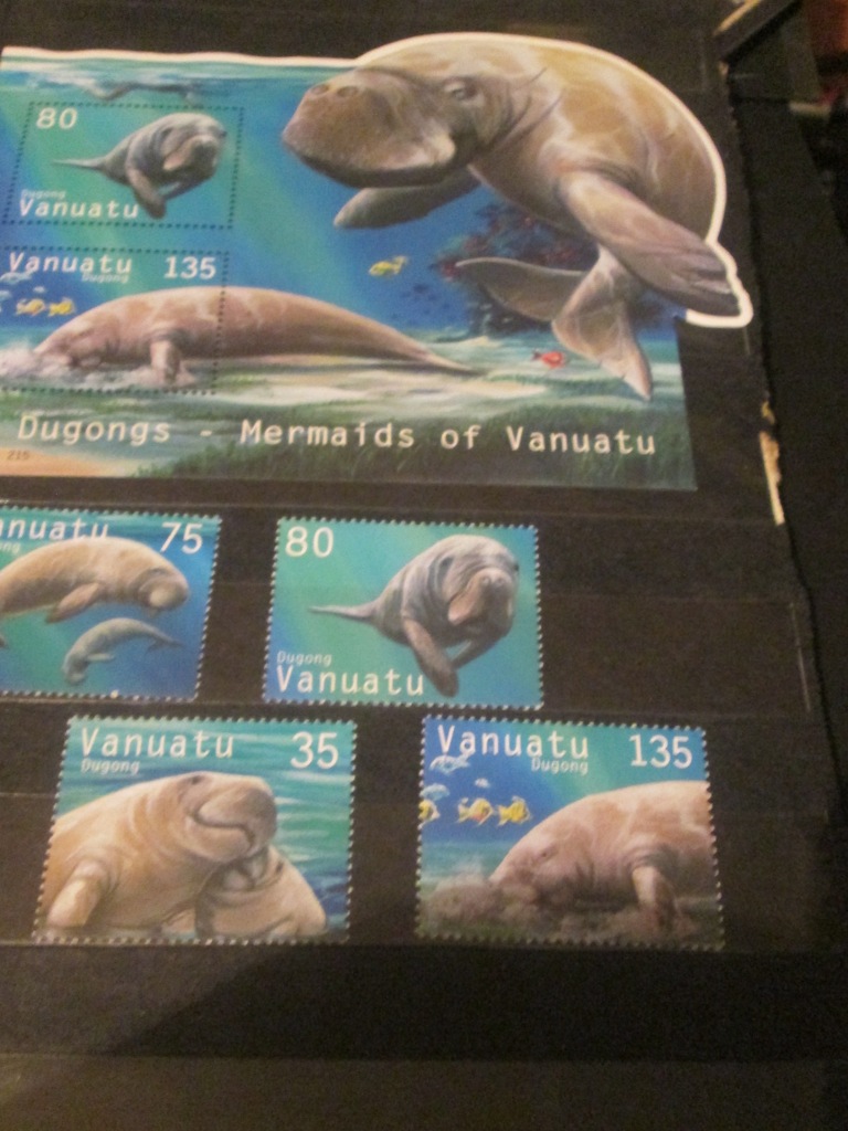 Fauna morza Vanuatu diugonie