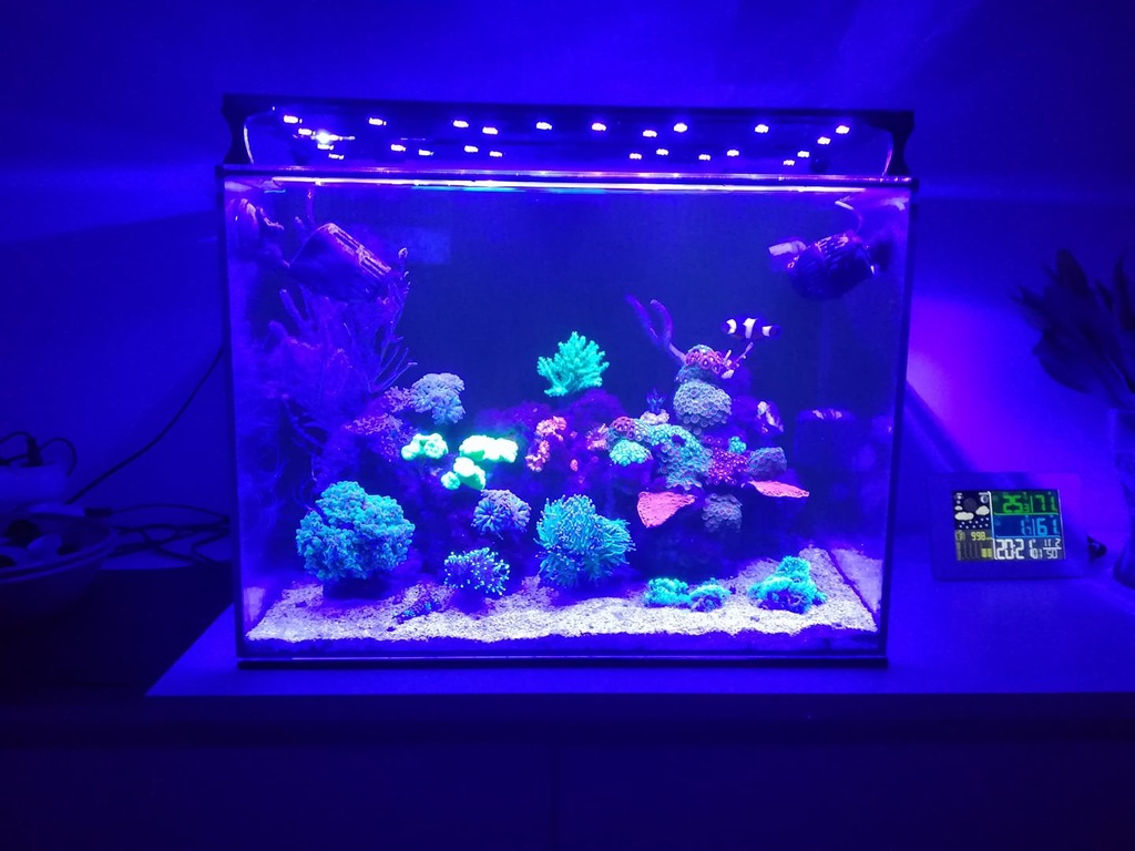 Sirius NANO lampa LED 72W do akwarium o dł 50 cm