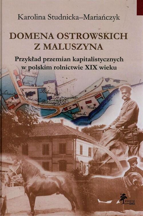 Domena Ostrowskich z Maluszyna Przykład przemian k