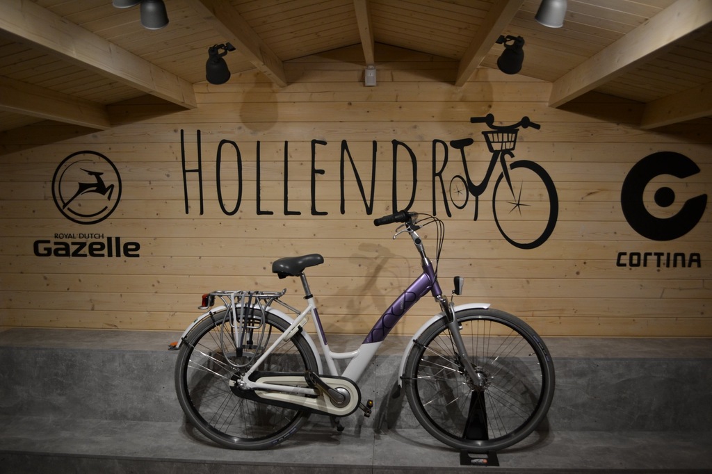Rower Miejski Holenderski Puch Groove