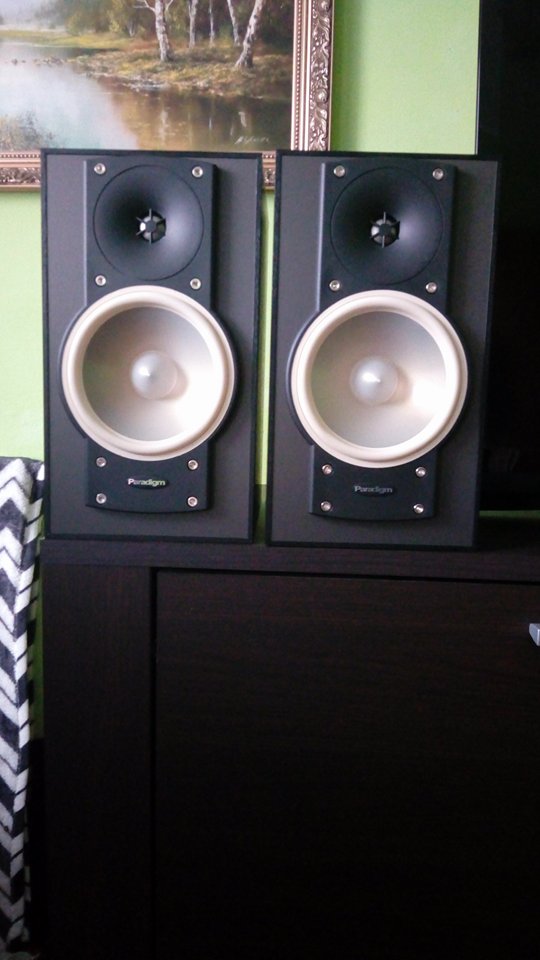 PARADIGM MINI MONITOR V6