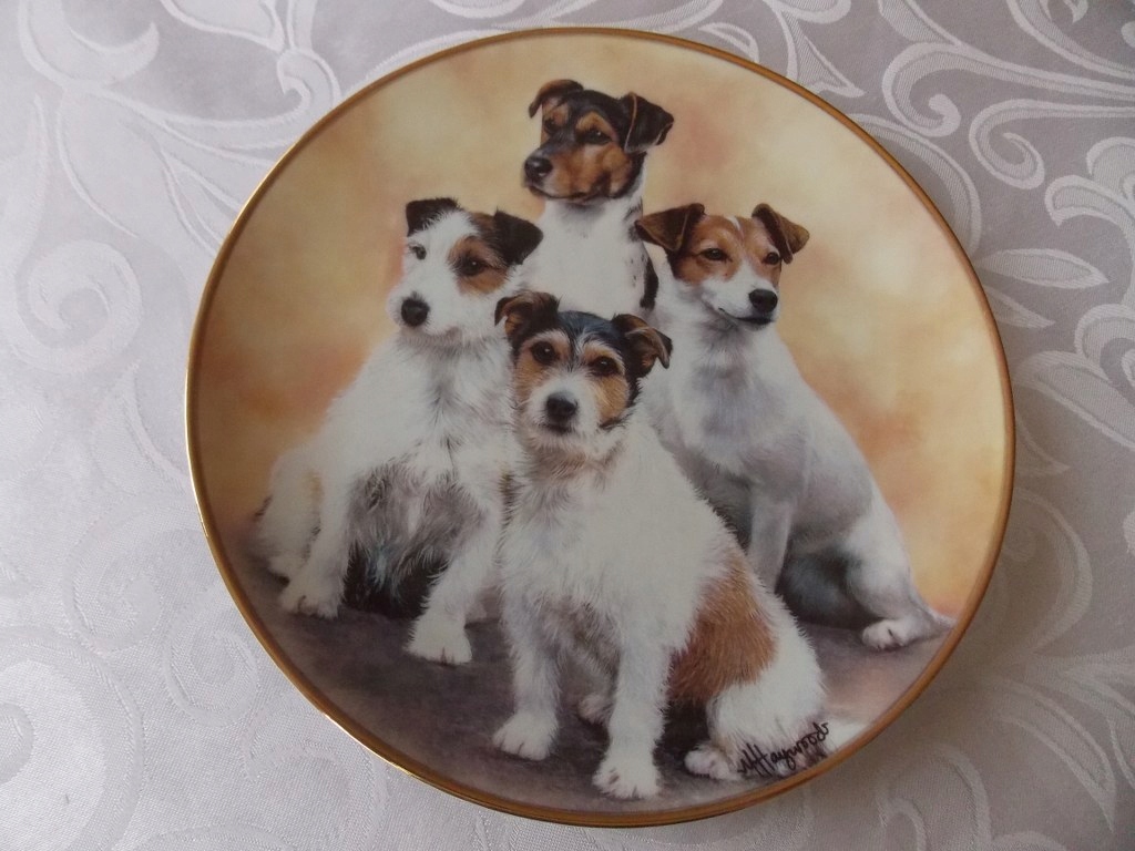 Piękny porcelanowy talerz pies psy terrier