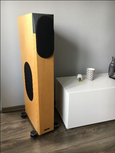 Audio Physic Padua RR (bi-wiring) 