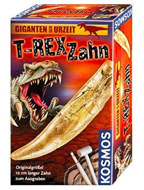 WIELKI ZĄB DINOZAURA TYRANOZAURA T-REX