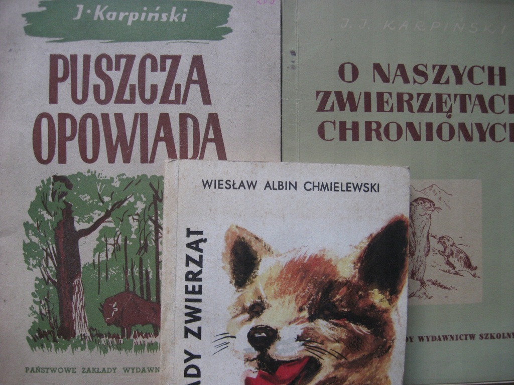 Ptaki TROPY ŚLADY ZWIERZĄT + Ptaki chronione +