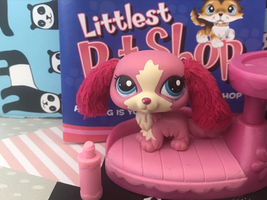 Littlest Pet Shop King Charles Spaniel #2508 LPS !