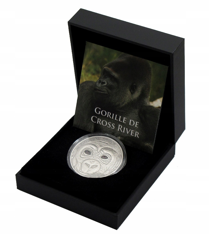 Kamerun, 1000 franków, 2013, Goryl