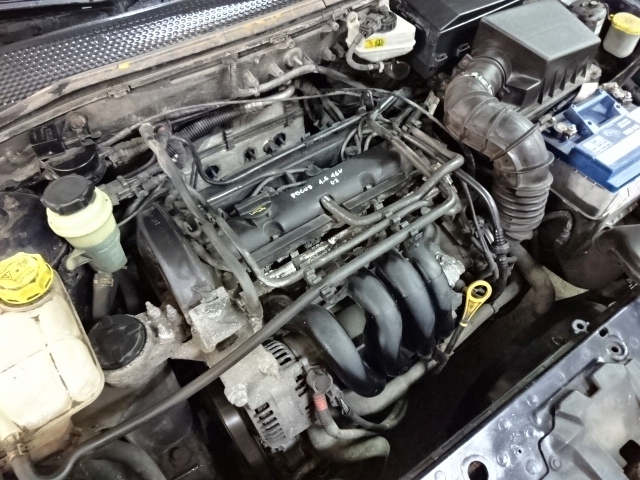 Silnik Ford Focus MK1 1.6 16V FYDB