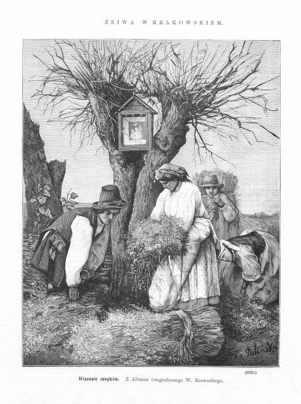drzeworyt 1881 Krakowskie Wiązanie snopków. Z Albu