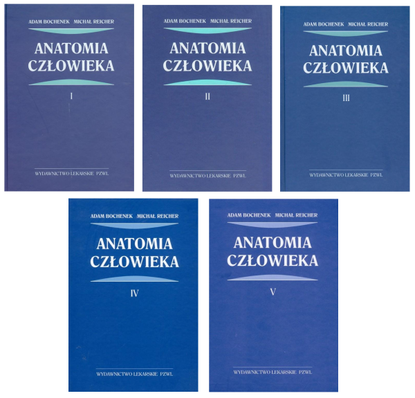ANATOMIA CZŁOWIEKA BOCHENEK T1-5 - NAJTANIEJ