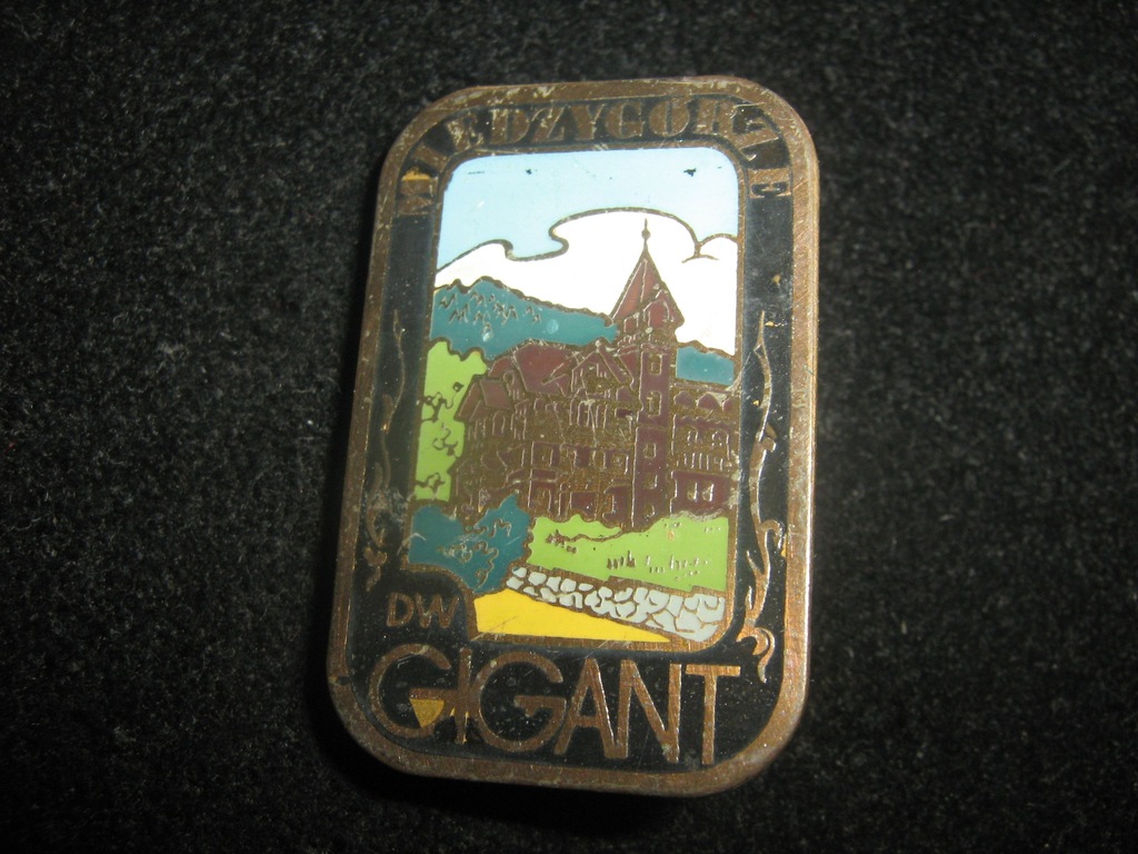 DOM WCZASOWY MIĘDZYGÓRZE GIGANT