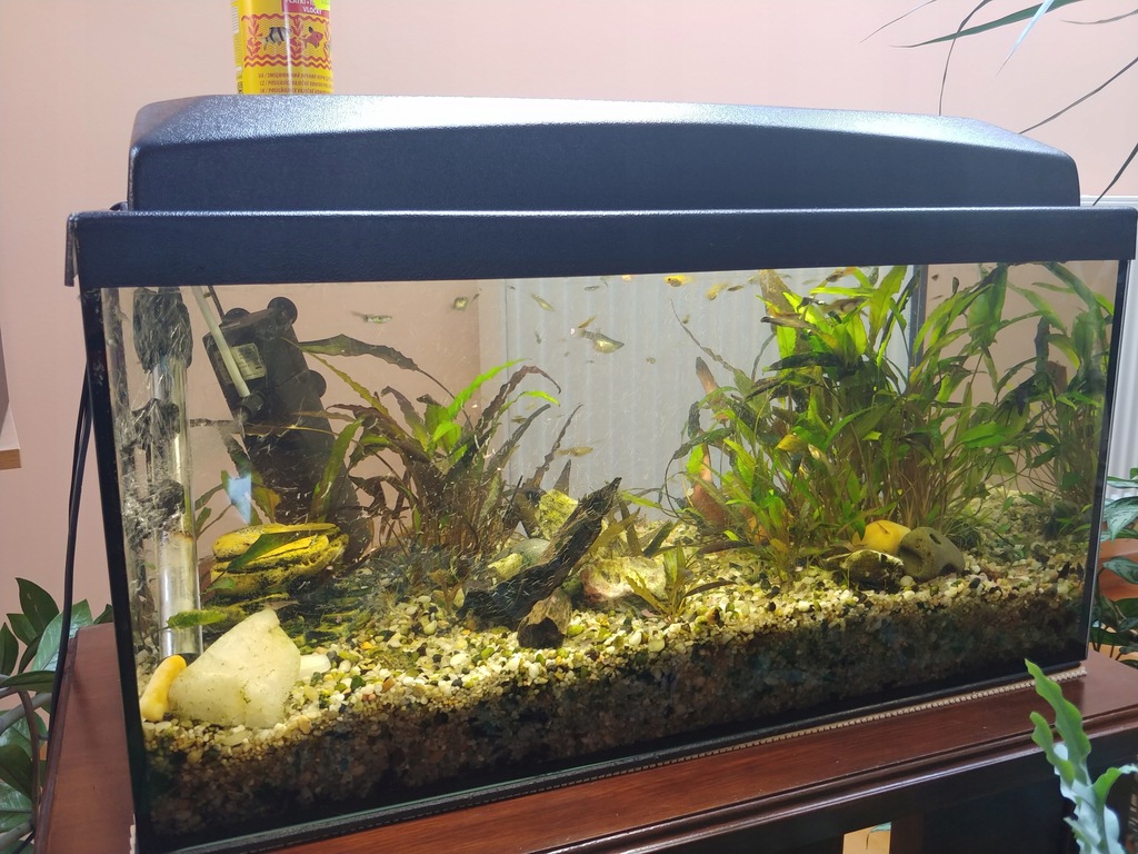 Akwarium 60L kompletne